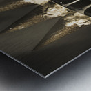 Ear Candy Metal print