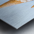 Still In The Ice Cream Trade Metal print