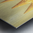 Top Summer Pops Metal print