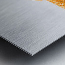 Summer Melt Metal print