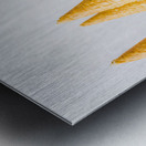 Parlour Tricks Metal print