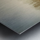 Foggy Farm Metal print