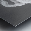 Bushy Smile Metal print