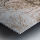 Harmonious Fades Metal print