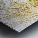 Deer Exploring A Sunlit Forest Field Metal print