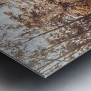 Double Trouble Metal print