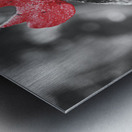 Rooster Red  Metal print