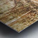 Forest Deer Metal print