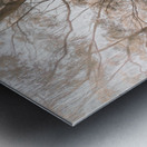 Calm Subtleties Metal print