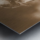 Courtyard Kookaburra Metal print