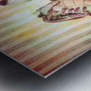 Roller Circus Metal print