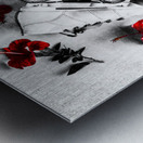 Skate Dates Metal print