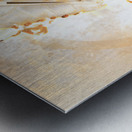 Rink of Fire Metal print