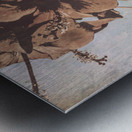 Faded Summer Memories Metal print