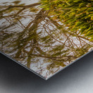 Summer Shading Metal print