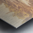 Wash Of Vintage Metal print