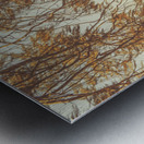 Orange Autumns By The Sea Metal print