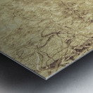 Casuarina Antiquity Metal print