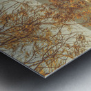 Autumn Whispers Metal print