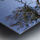 Elliott Heads Outlook Metal print