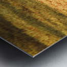 Australian Lawn Mower Metal print