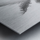 Leafy Shades Metal print