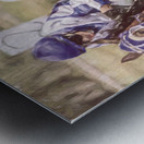 The Final Sprint Metal print