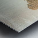 Warm And Rustic Metal print