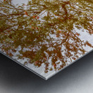 Acacia Avenue Metal print