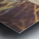 Wooded Dragon Metal print