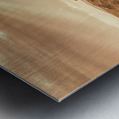 Gold Country Metal print