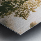 Meadow Meandering Metal print