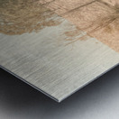 Muted Outbacks Metal print