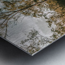 Beauty And Rusticity Metal print