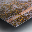 Elevated Country Outlook Metal print