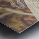 Outback Afternoons Metal print