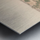 Farming Fades Metal print