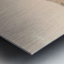 Backcountry Calm Metal print