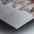 Pacified Paddock Metal print