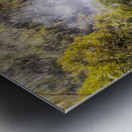 The Fog And The Forest Metal print