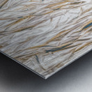 Weeping Willow Washes Metal print