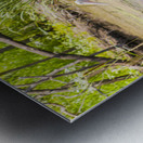 Ban Ban Springs Metal print