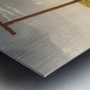 Ranching Reverie Metal print