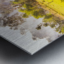 Charming Farming Metal print