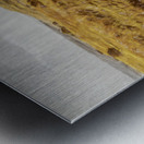 Trailing Branch Creek Metal print