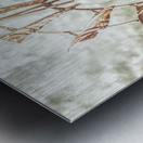 Outback Classic Metal print