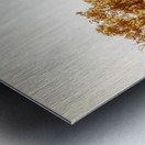 Sun Dipped Metal print