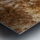 Pioneering Country Metal print