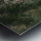 Woodland Dramatics Metal print