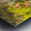 Old Water Windmill  Metal print